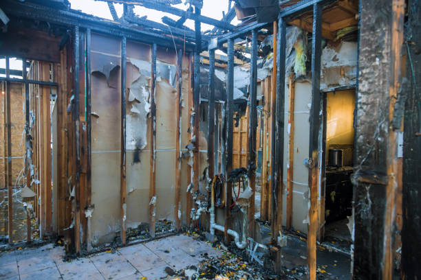 Professional Soot Cleanup technician working in Bay Pines, FL