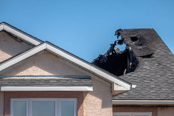 Top rated local Soot Cleanup specialists in Bay Pines, FL